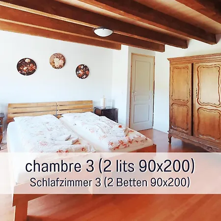 Chez Louna - Grand * Aumontzey