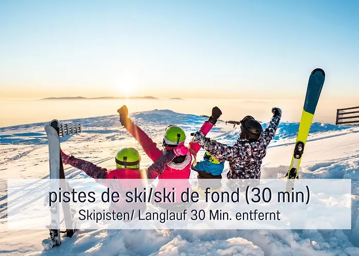 Chez Louna - Grand * Aumontzey